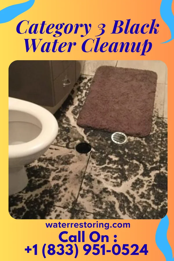 Category 3 Black Water Cleanup in Gilbertown, AL